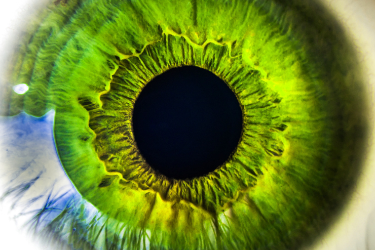 Suricog – Société medtech spécialiste de l’ » Oculomotricité et eye-tracking à vocation médicale - Oculomotricity and eye-tracking for medical purposes