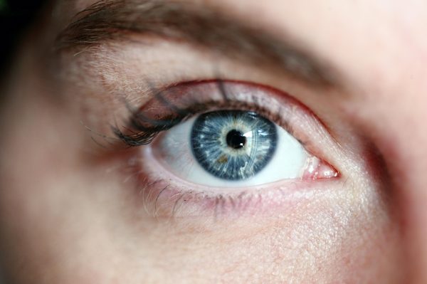 Suricog – Société medtech spécialiste de l’ » Oculomotricité et eye-tracking à vocation médicale - Oculomotricity and eye-tracking for medical purposes